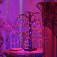 🎃👻🎃 OFFRE LIMITÉE 50% DE RÉDUCTION! Guirlandes Lumineuses d’Halloween – Lueur Orange & Violette, Modes Clignotant ou Fixe – Parfaites pour Soirées, Tournée des Bonbons, et Décors de Maison Hantée 🕸️🧛