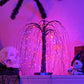 🎃👻🎃 OFFRE LIMITÉE 50% DE RÉDUCTION! Guirlandes Lumineuses d’Halloween – Lueur Orange & Violette, Modes Clignotant ou Fixe – Parfaites pour Soirées, Tournée des Bonbons, et Décors de Maison Hantée 🕸️🧛
