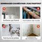 💐50% DE RÉDUCTION ! Revêtement Polyuréthane Tout-en-Un – Adhérence Parfaite sur Métal, Plastique & Verre 🔄🖌️【Offre Limitée】
