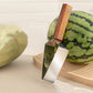 💐60% DE RÉDUCTION ! Découpeur Pastèque Acier Inox – Résistant & Passe au Lave-vaisselle 🧼🍉【Promo Flash】