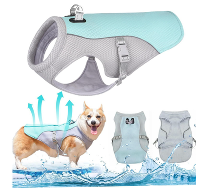 💗DERNIER JOUR DE VENTE ! 50 % DE RÉDUCTION ⚡Plus de 50 000 vendus !!🐾🐕 Protéine rafraîchissante pour chiens pour l’été 🐕‍🦺💦