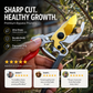 ✂️🌿 Sécateur de Jardin SK5 Haute Précision – Lame en Acier Trempé, Coupe Nette & Poignée Ergonomique