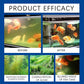 📢Achetez 3 Obtenez 5 gratuit ✨💧 Nettoyant Puissant pour l'Eau des Aquariums🐟