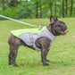 💗DERNIER JOUR DE VENTE ! 50 % DE RÉDUCTION ⚡Plus de 50 000 vendus !!🐾🐕 Protéine rafraîchissante pour chiens pour l’été 🐕‍🦺💦
