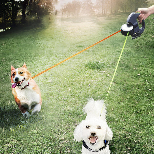 🔥Vente chaude🔥Laisse multifonctionnelle pour promener votre chien