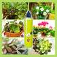 🔥2026 Nouveauté🔥 Nutriments liquides pour plantes d'extérieur et d'intérieur