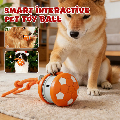 🎄🎁Promo Noël Éclatante：70 % de réduction ! 🔥Balle interactive intelligente pour animaux domestiques
