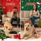 🎄🎁Promo Noël Éclatante：70 % de réduction ! 🔥Balle interactive intelligente pour animaux domestiques
