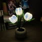 💡 50% DE RÉDUCTION ! Veilleuse LED Tulipe – Idéale pour Sommeil Paisible 😴💤【Offre Flash】