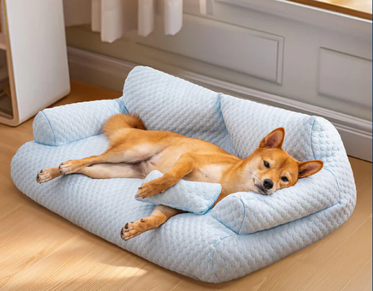 💐50% DE RÉDUCTION ! Lit Rafraîchissant en Soie Glacée – Surface Anti-Chaleur & Ultra Douce 🐕❄️【Offre Limitée】