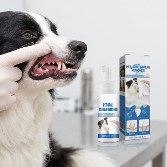 💐50% DE RÉDUCTION ! Mousse détartrante pour animaux – Haleine fraîche & sourire propre 🐶🦷【Offre Limitée】