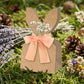 🐰 Nouveauté 2026 | Sachets Cadeaux Lapin de Pâques avec Rubans 🎀【Idéal pour Chasse aux Œufs】
