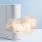 Automatic Hot Towel Dispenser