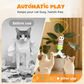💐50% DE RÉDUCTION ! Teaser Automatique Rétractable – Jeu Interactif Anti-Ennui 🧶🐈【Prix Exceptionnel】