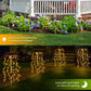 💐60% DE RÉDUCTION ! Lumières Décoratives de Jardin – Faciles à Installer 🌼🪴【Offre Limitée】