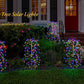 💐60% DE RÉDUCTION ! Lumières Décoratives de Jardin – Faciles à Installer 🌼🪴【Offre Limitée】
