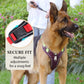 💐50% DE RÉDUCTION ! Harnais anti-traction avec laisse LED – Sécurité maximale pour vos promenades nocturnes 🐕✨【Offre Limitée】