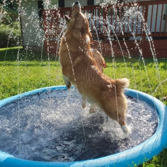 🏊‍♀️💧🌀 OFFRE LIMITÉE 50% DE RÉDUCTION! Tapis Pliable pour Piscines Extérieures + Arrosoir – Antidérapant, Séchage Rapide, Facile à Plier et Ranger – Parfait pour la Sécurité au Bord de la Piscine et l’Arrosage du Jardin 🌿💦