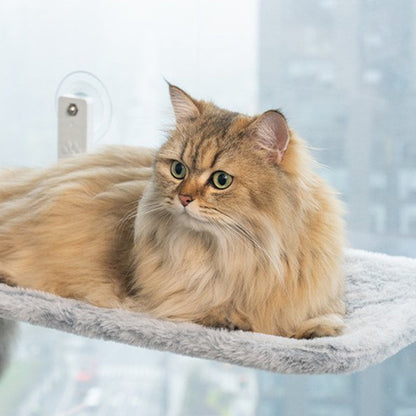 💐60% DE RÉDUCTION ! Lit Suspendu pour Chat avec Ventouses – Laissez-le Profiter du Soleil ☀️😺【Prix Spécial】