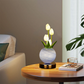 💤🌙 -50% ! 🌷Veilleuse bouquet de tulipes – Lueur douce, sommeil paisible.