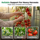 🌸🔄🌱 OFFRE LIMITÉE 50% DE RÉDUCTION! 100 Attaches Douces Réutilisables pour Plantes – Fixation Rapide pour Orchidées, Tomates & Rosiers Grimants – Sans Dommage, Maintien Solide 🦋✨