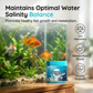 🐟💧✨ OFFRE LIMITÉE 50% DE RÉDUCTION! Pastilles de Purification d’Eau Haute Efficacité – Éclaircit l’Eau Trouble, Élimine l’Ammoniac et les Nitrites, Utilisation Facile – Pour Aquariums d’Eau Douce et Salée 🐠🌊