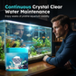 🐟💧✨ OFFRE LIMITÉE 50% DE RÉDUCTION! Pastilles de Purification d’Eau Haute Efficacité – Éclaircit l’Eau Trouble, Élimine l’Ammoniac et les Nitrites, Utilisation Facile – Pour Aquariums d’Eau Douce et Salée 🐠🌊