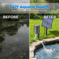 🌱💧🦆 OFFRE LIMITÉE 50% DE RÉDUCTION! Aérateur Solaire pour Bassin – Pompe à Air Intégrée, Fonctionnement Silencieux, Design Flottant – Crée des Ondulations et Améliore la Qualité de l’Eau – Parfait pour Bassins de Jardin et Pièces d’Eau 🏞️🌸