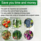 🌸🎋🛠️ OFFRE LIMITÉE 50% DE RÉDUCTION! Outil de Liage de Plantes Tout-en-Un – Pour Vignes, Arbustes, Bonsaïs & Rosiers Grimants – Grand Modèle Gère les Tiges Épaisses, Rouleau de Ruban Supplémentaire Inclus – Gardez Votre Jardin Net & Ordonné 🌺🌿