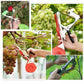 🌸🎋🛠️ OFFRE LIMITÉE 50% DE RÉDUCTION! Outil de Liage de Plantes Tout-en-Un – Pour Vignes, Arbustes, Bonsaïs & Rosiers Grimants – Grand Modèle Gère les Tiges Épaisses, Rouleau de Ruban Supplémentaire Inclus – Gardez Votre Jardin Net & Ordonné 🌺🌿