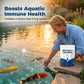 🐟🛒 -50% ! 💧Poudre Clarifiante pour Eau d’Aquarium – Action Rapide 4h, Sans Danger & Polyvalente