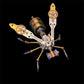 🐝🛒 -50% ! ⚙️Kit de Maquette 3D Abeille Mécanique en Métal – Puzzle DIY Steampunk, Alliage Premium & Assemblage Gratifiant