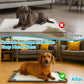 🐾💧🛡️ OFFRE LIMITÉE 50% DE RÉDUCTION! Tapis Silicone Anti-Éclaboussures pour Animaux – Anti-Dérapant, Imperméable, Récupère les Débordements et les Baves – Protège les Sols des Gourmands et Buveurs Désordonnés 🧹✨