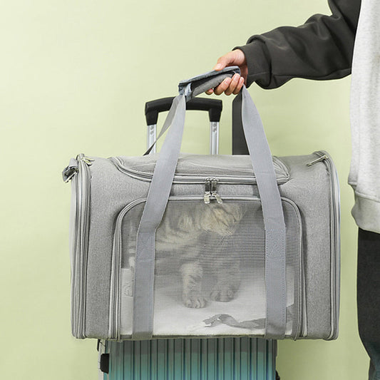 🐱🕸️🌬️ OFFRE LIMITÉE 50% DE RÉDUCTION! Sac de Transport Pliable en Maille pour Chat – Grand Format, Respirant, Bien Ventilé – Gardez Votre Compagnon à Fourrure Au Frais & Confortable Lors des Visites chez le Vétérinaire ou en Voyage 🏥🚗