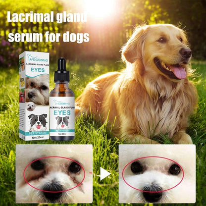 🐾🛒 2 pour le prix d'1 ! 🐕 Nettoyant & Gouttes pour les Yeux des Animaux – Formule Douce au pH Équilibré & Sans Danger pour Chiens et Chats