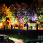 💫🛒 -50% ! 🌿Éclairage Annulaire pour Arbres – Design Modulaire, IP67 & Haute Luminosité