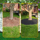🌿🏡 Bordure de Jardin Flexible Sans Creusement (Rouleau 10m + 30 Piquets) – Délimitation Nette Pelouse, Pose Facile et Résistance Intempéries