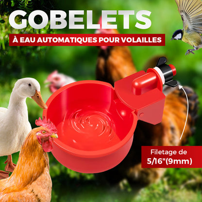 🐔🛒 -50% ! 💧Gobelets à Eau Automatiques pour Volailles – Filetage 5/16 Pouces, Lot de 3 à 20 Pièces & Installation Facile.