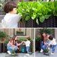🌱🛒 -60% ! 🥬 Bac de Plantation Multifonctionnel – Auto-Arrosage & PP Renforcé – 30×30×20 cm pour Légumes & Herbes.