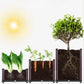 🌱🛒 -60% ! 🥬 Bac de Plantation Multifonctionnel – Auto-Arrosage & PP Renforcé – 30×30×20 cm pour Légumes & Herbes.