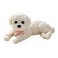 🧘‍♀️💓 -60% ! 🌙Nounours Anti-Stress – Doux, Compressible & Réconfortant pour le Bureau et la Maison