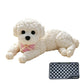 🧘‍♀️💓 -60% ! 🌙Nounours Anti-Stress – Doux, Compressible & Réconfortant pour le Bureau et la Maison