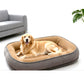 🐕🛏️ -60% ! 💤Lit Confortable pour Animaux – Mousse de Soutien & Double Texture Respirante pour un Repos Douillet.