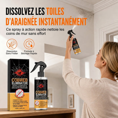 🧽🕸️ Spray anti-toiles d’araignées et nettoyant mural – Brume dissolvante, formule sans résidu et prise en main facile