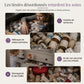 🎁 Nouveautés 2026 : -50 % 💥 Grande boîte de rangement pour médicaments en plastique avec compartiments séparés à plusieurs niveaux, boîte de rangement portable pour premiers secours d'urgence familiale 💊📦