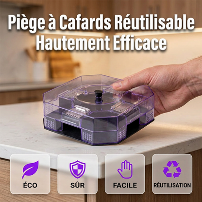 🪳🏠 Piège à cafards réutilisable – Sans spray, entrées à sens unique et couvercle transparent