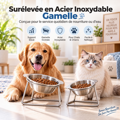 🐈🥣 Gamelle inclinée pour chats et chiens avec support surélevé – Bol en acier inoxydable, amovible et facile à nettoyer