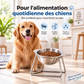 🐈🥣 Gamelle inclinée pour chats et chiens avec support surélevé – Bol en acier inoxydable, amovible et facile à nettoyer