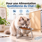 🐈🥣 Gamelle inclinée pour chats et chiens avec support surélevé – Bol en acier inoxydable, amovible et facile à nettoyer
