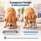🐈🥣 Gamelle inclinée pour chats et chiens avec support surélevé – Bol en acier inoxydable, amovible et facile à nettoyer